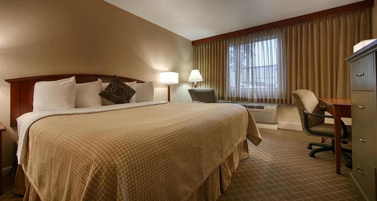 Best Western University Inn Fort Collins Pet Policy