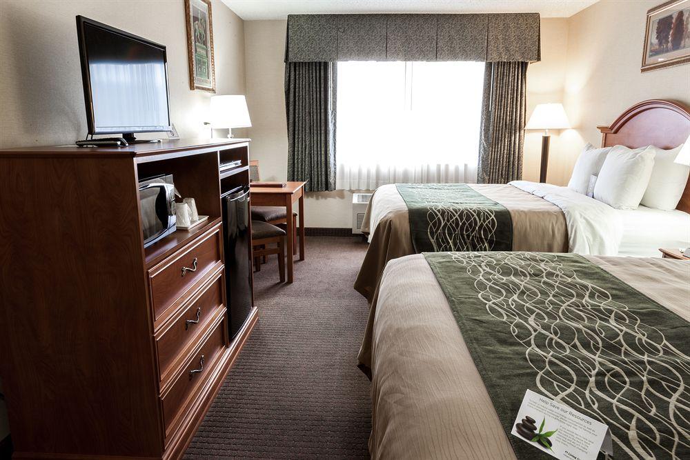 Comfort Inn Suites Bothell Pet Policy