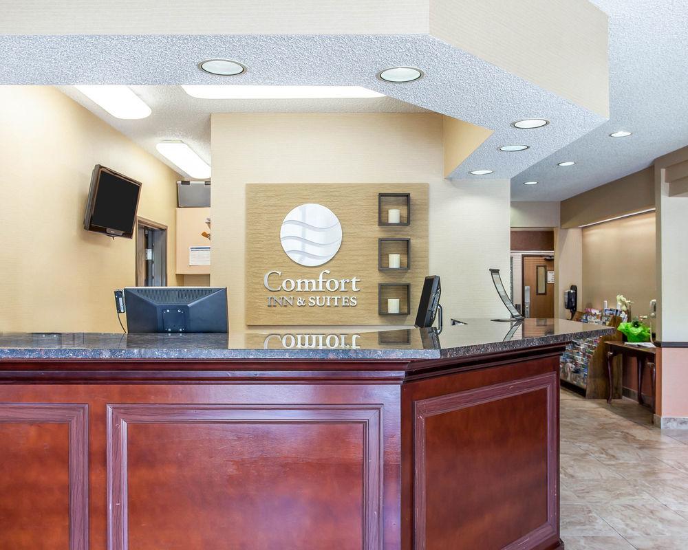 Comfort Inn Suites Bothell Pet Policy