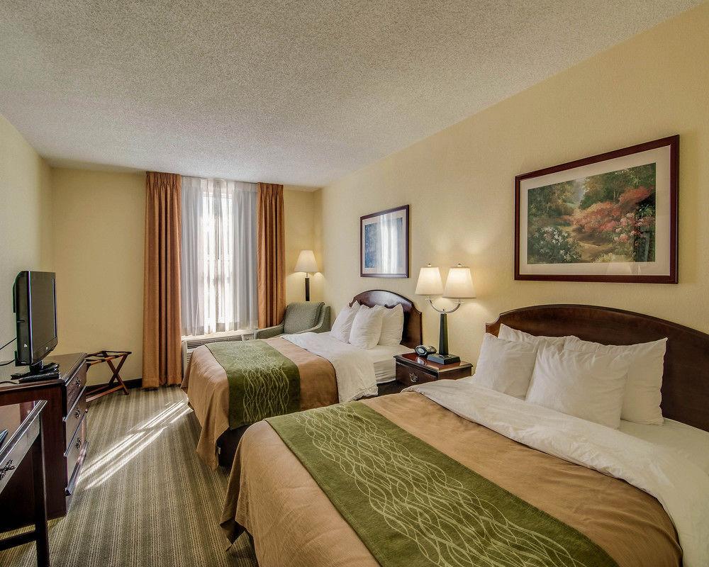 Comfort Inn Staunton Pet Policy