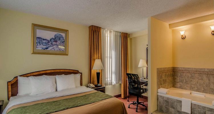 Comfort Inn Staunton Pet Policy