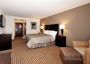 Comfort Inn Suites Newton Pet Policy