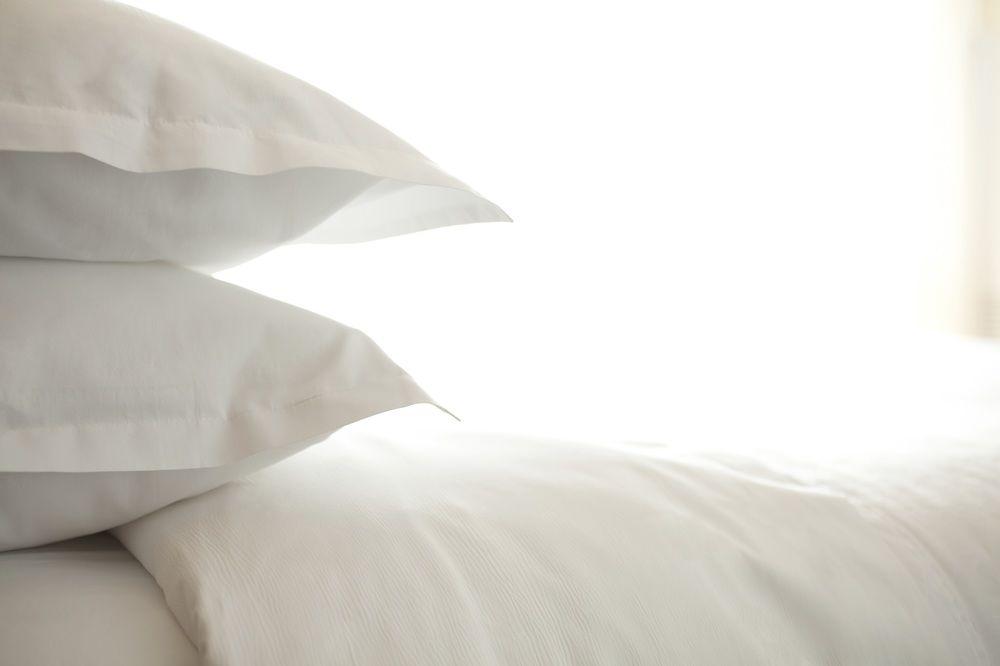 dog friendly bed sheets