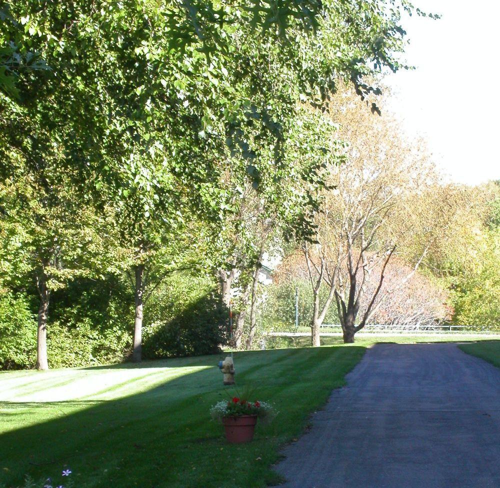 Crowne Plaza Hotel Minneapolis West Plymouth Pet Policy