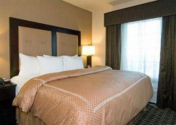 Comfort Suites Buda Pet Policy