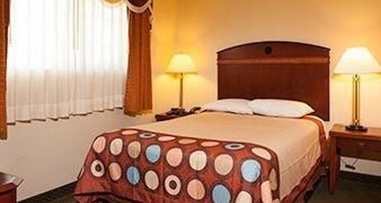 Super 8 Ukiah Pet Policy