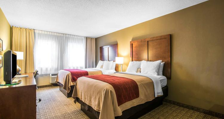 Comfort Inn And Suites North Conway Pet Policy