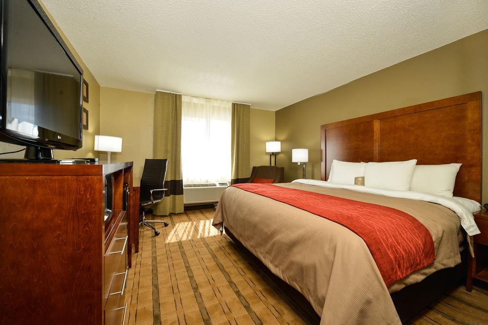 Comfort Inn Suites Pet Policy