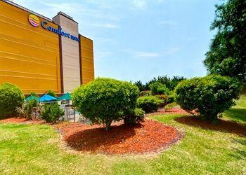 Comfort Inn University Wilmington Pet Policy