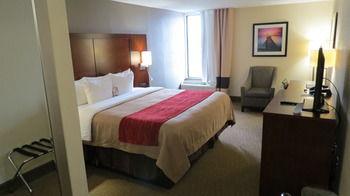Comfort Inn University Wilmington Pet Policy