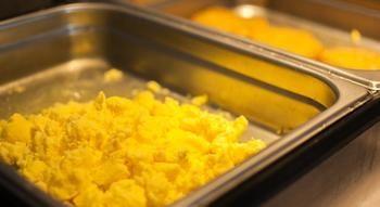 Comfort Inn Trois Rivieres Pet Policy