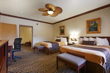 Best Western Plus Medical Center South San Antonio Hotels