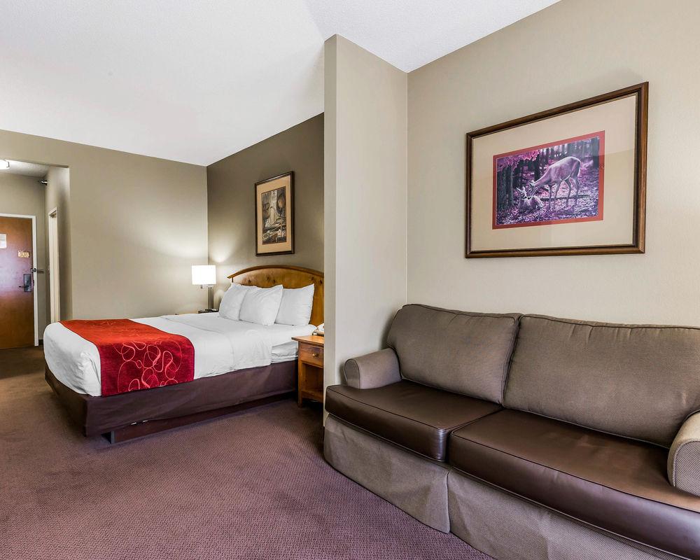 Comfort Suites Boone Pet Policy