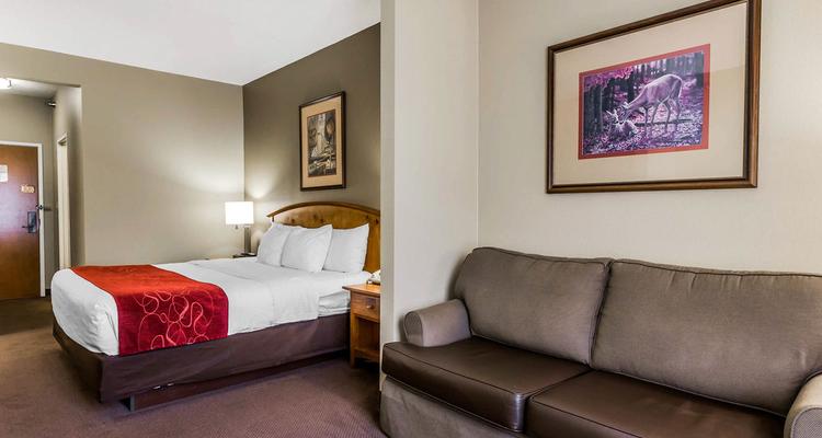 Comfort Suites Boone Pet Policy