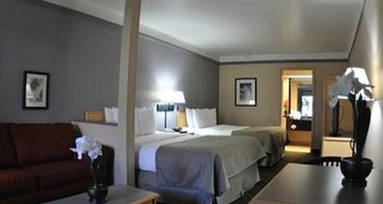 Clarion Suites Maingate Pet Policy