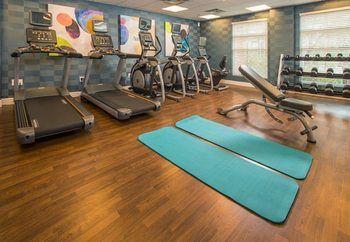 dulles pet hotel and daycare