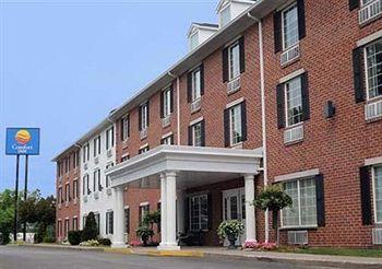 Comfort Inn Sarnia Pet Policy