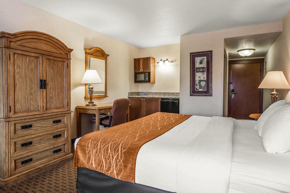 Comfort Inn Suites Seaside Pet Policy