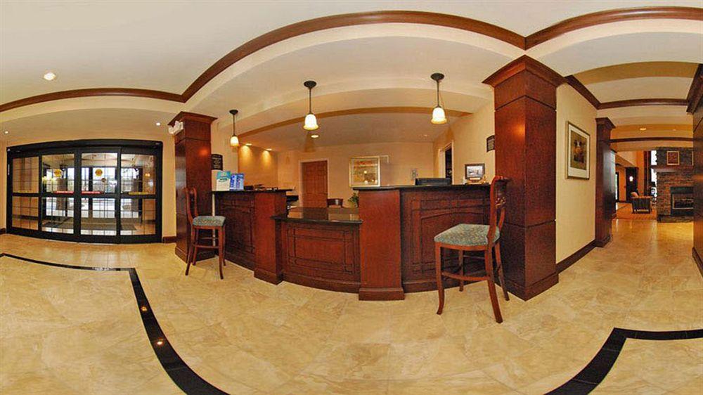 Pet Friendly Hotels In Yorktown Va Bringfido