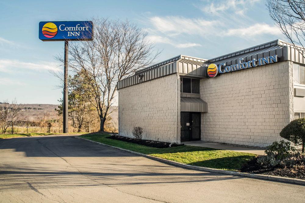 Comfort Inn Jamestown Pet Policy