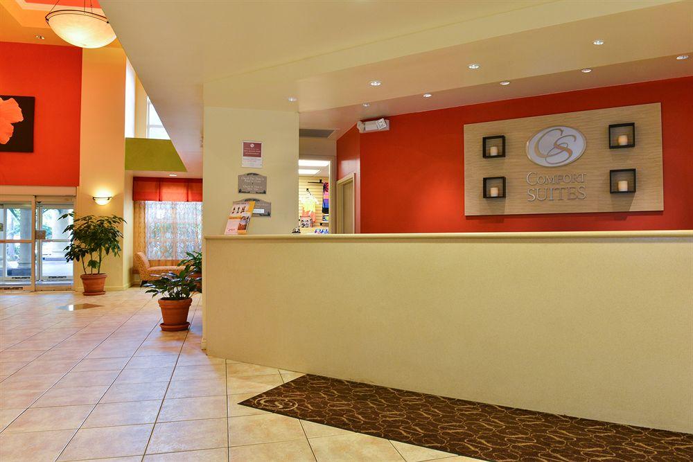 Comfort Suites Maingate East Pet Policy