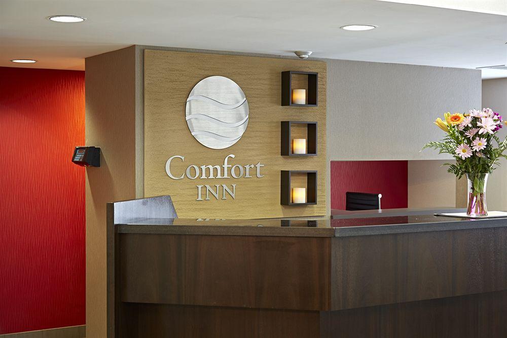 Pet Friendly Hotels In Sept Iles Qc Bringfido