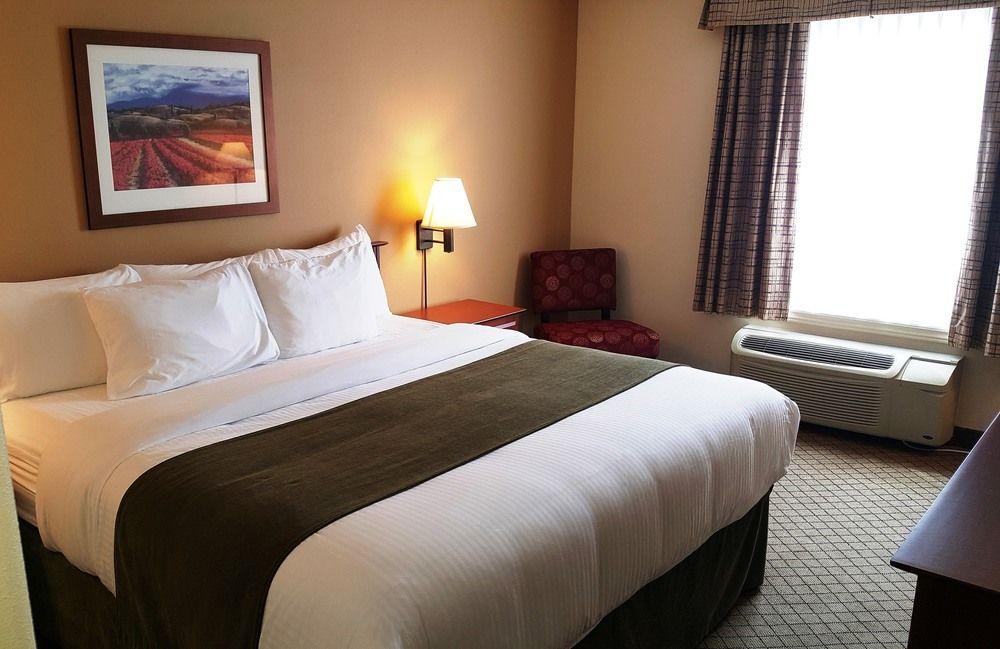 Super 8 Dieppe Moncton Pet Policy