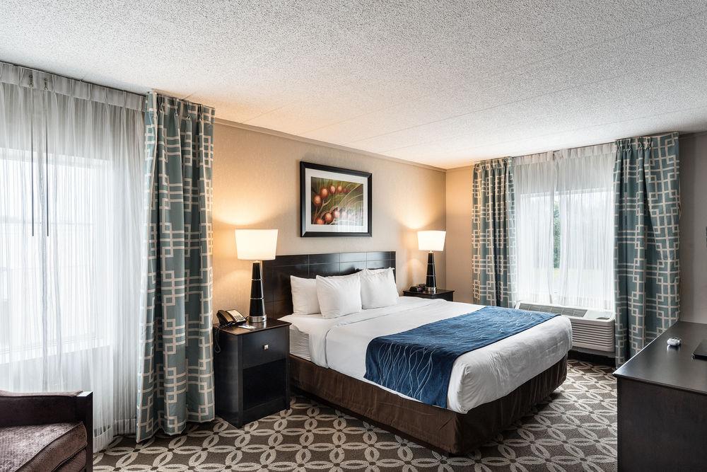 Comfort Inn Rehoboth Beach Pet Policy