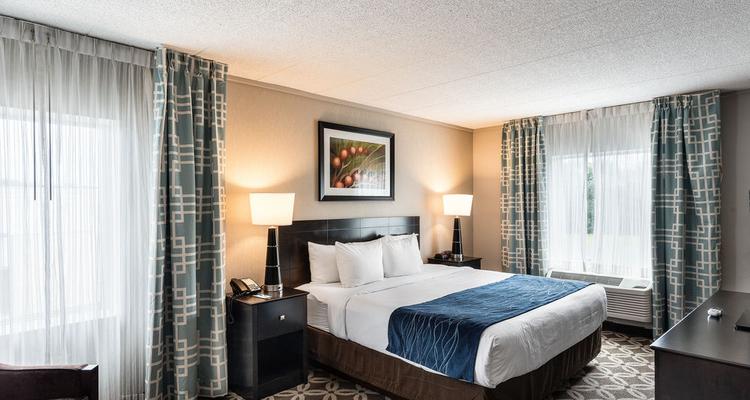 Comfort Inn Rehoboth Beach Pet Policy