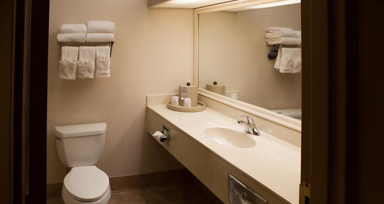 Comfort Suites Regency Park Cary Pet Policy