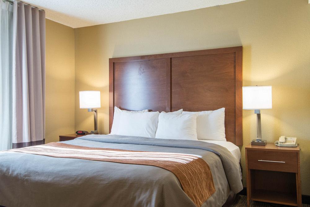 Comfort Suites Suwanee Pet Policy