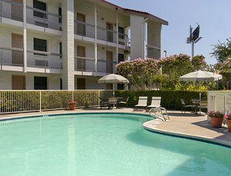 Pet Friendly Hotels In Houston Tx Bringfido