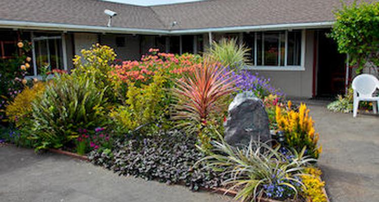 Surf Motel And Gardens Pet Policy