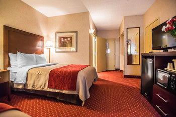 Comfort Inn Pocono Lakes Region Pet Policy