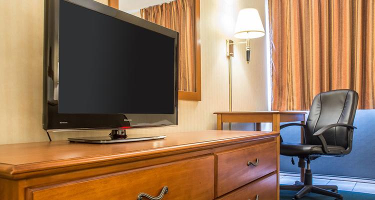 Comfort Inn Binghamton Pet Policy