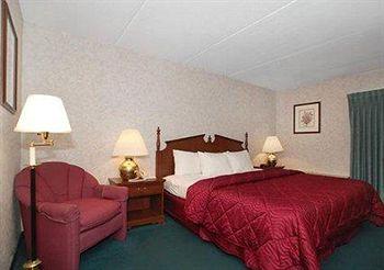 Comfort Inn Binghamton Pet Policy