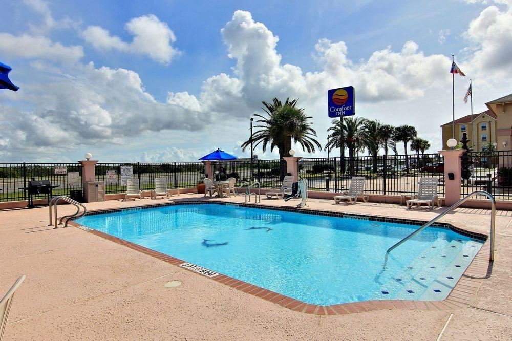 Comfort Inn Ingleside Pet Policy