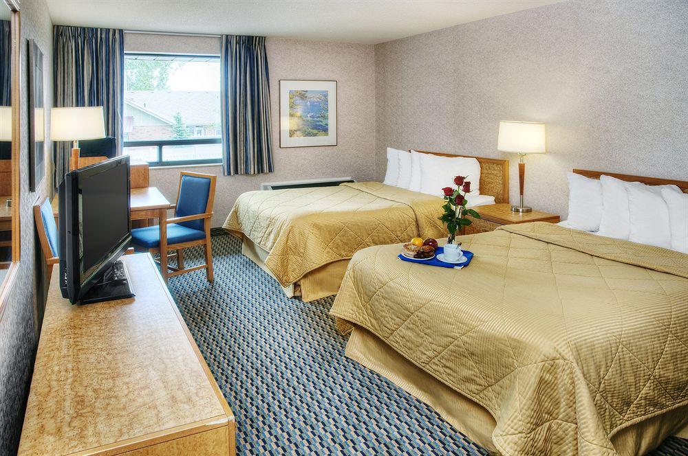 Comfort Inn Owen Sound Pet Policy