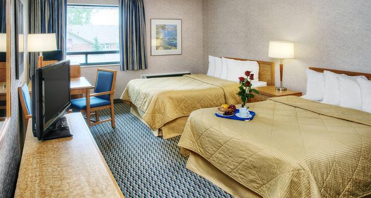 Comfort Inn Owen Sound Pet Policy