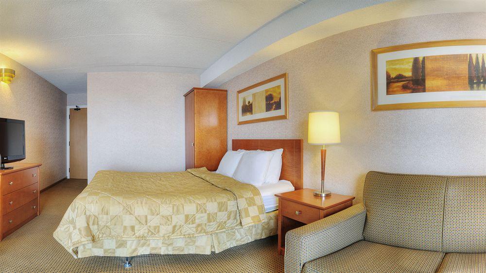 Comfort Inn Owen Sound Pet Policy