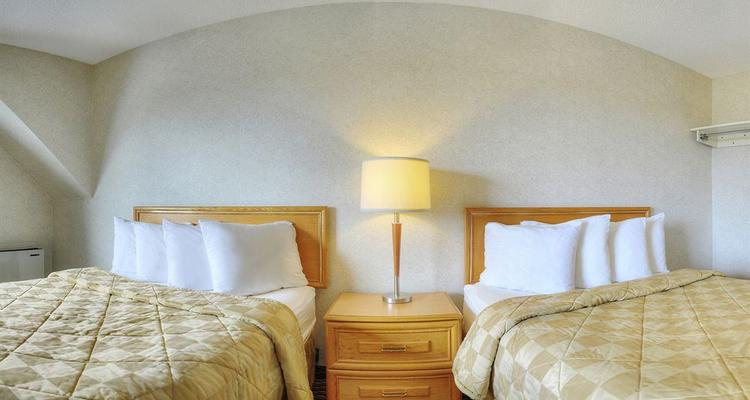 Comfort Inn Owen Sound Pet Policy