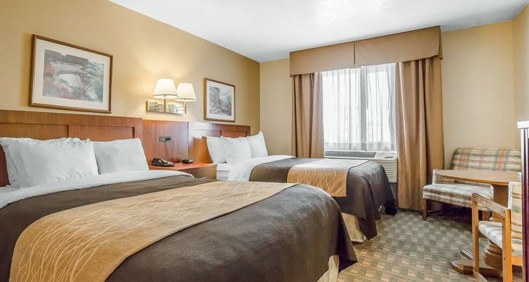 Comfort Inn Suites Fillmore Pet Policy