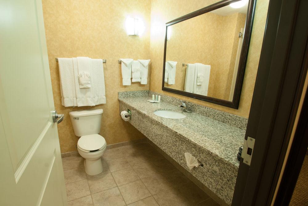 Comfort Suites Speedway Pet Policy