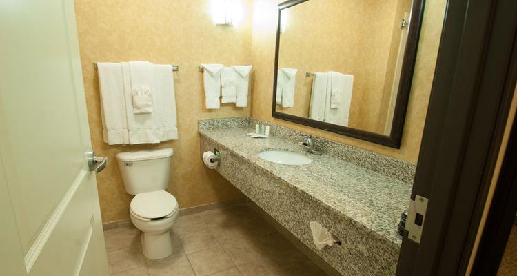 Comfort Suites Speedway Pet Policy