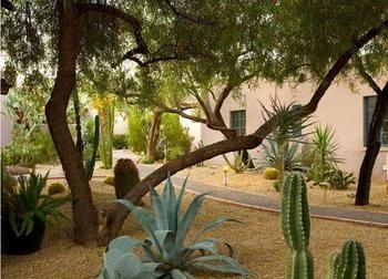 is desert botanical garden dog friendly