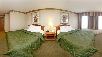 Comfort Inn Chelsea Pet Policy