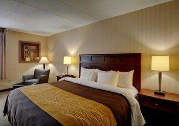Comfort Inn Wethersfield Pet Policy