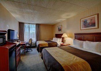 Comfort Inn Wethersfield Pet Policy