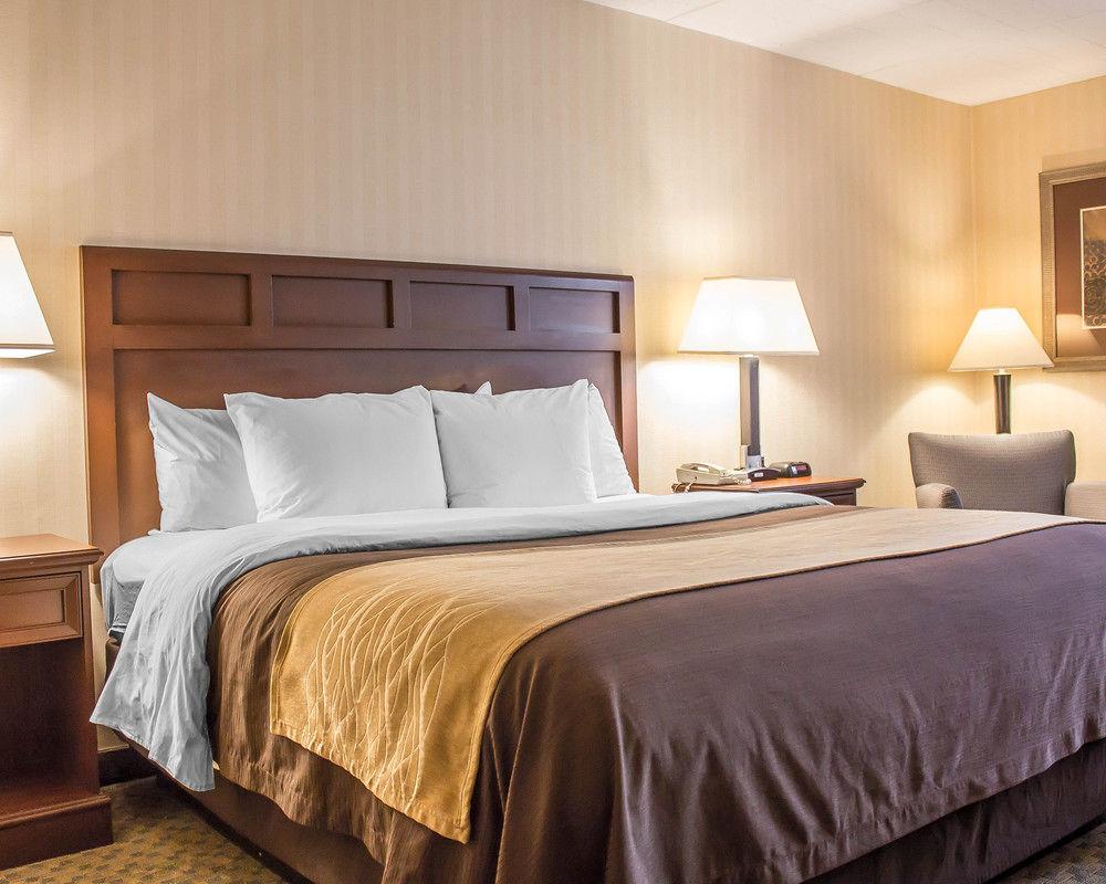 Comfort Inn Wethersfield Pet Policy