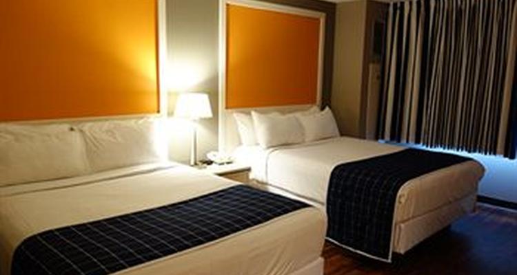 Tropicana Casino And Resort Pet Policy